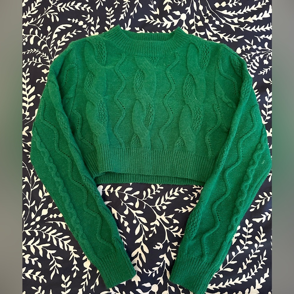 Cider Green Crew Neck Sweater with Textured Knit